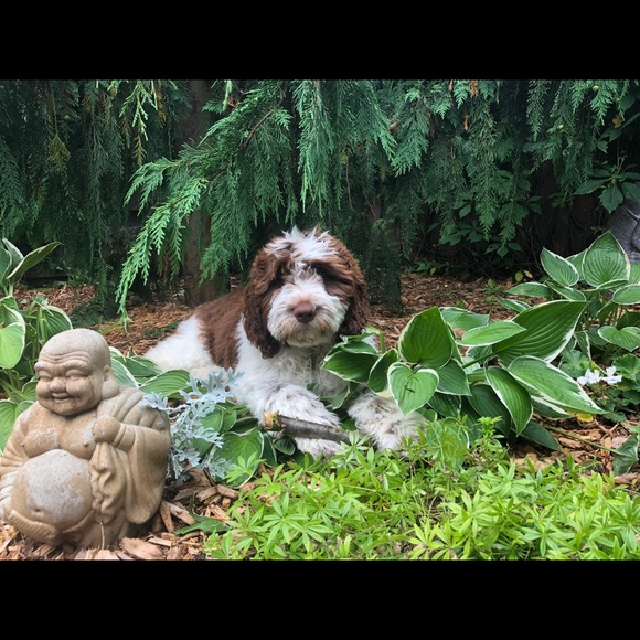 Meet your Posher, Tania - Picture 7 of 8